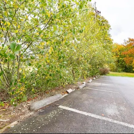 Lakeview Escape Apartment