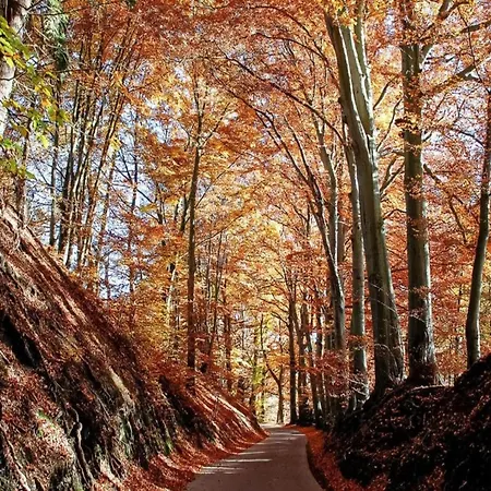 Lakeview Escape Apartmán *